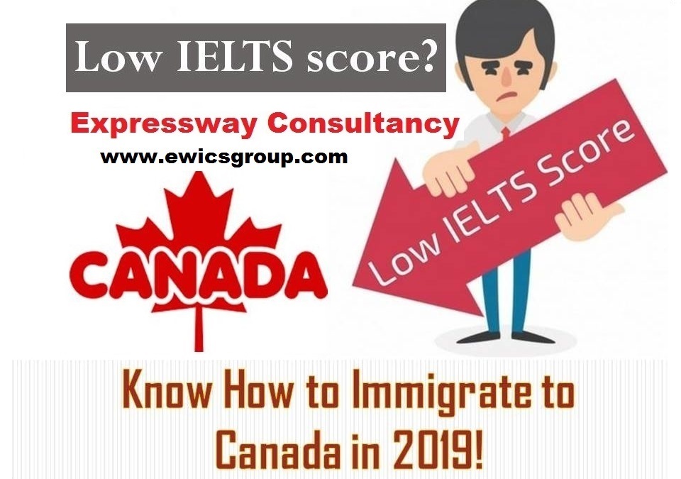 Canada Permanent Resident Visa With Low IELTS
